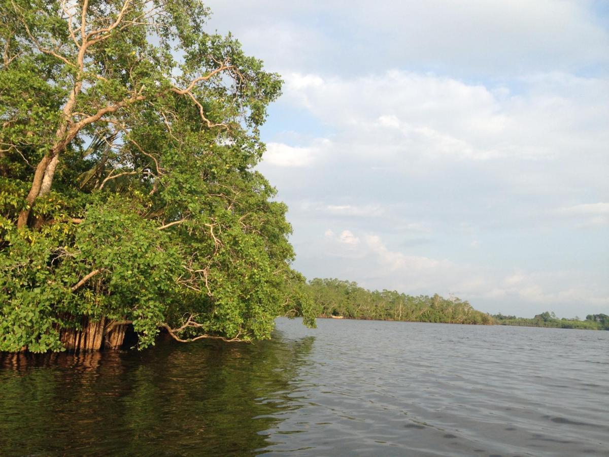 Lake Life Villa Ambalangoda  Exterior foto