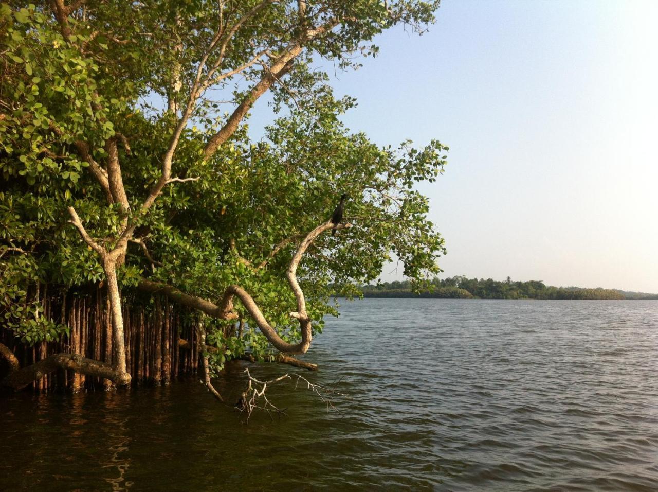 Lake Life Villa Ambalangoda  Exterior foto